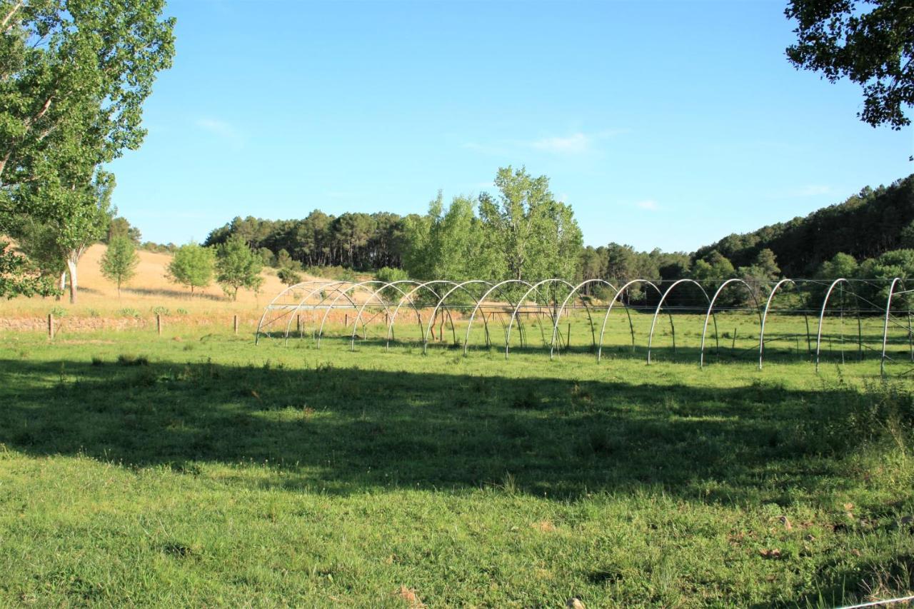 Casa Rural - Complejo El Tejar De Las Canadas カンデレダ エクステリア 写真