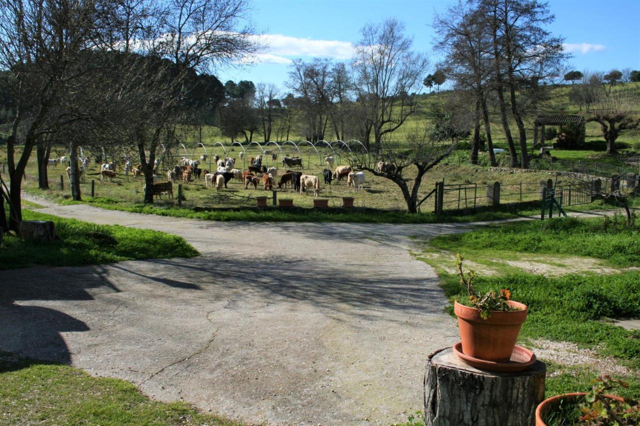 Casa Rural - Complejo El Tejar De Las Canadas カンデレダ エクステリア 写真