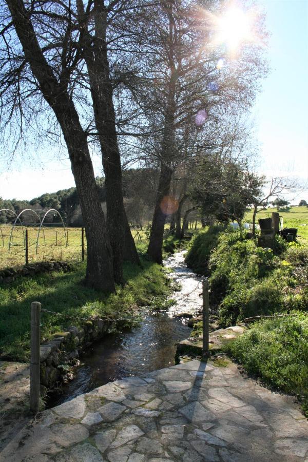 Casa Rural - Complejo El Tejar De Las Canadas カンデレダ エクステリア 写真